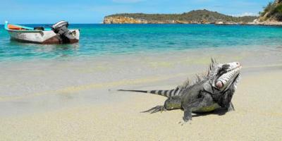 Playa Blanca
