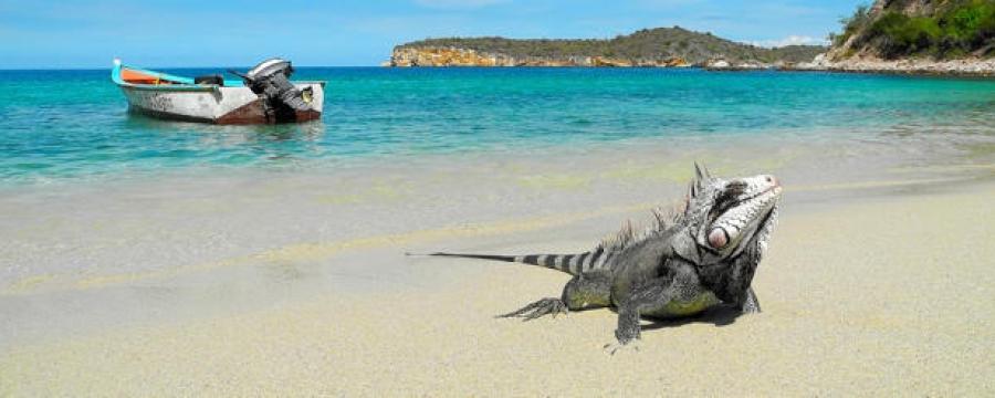 Playa Blanca